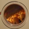 Huevos de Pita pinta en la incubadora vistos atraves de la escotilla